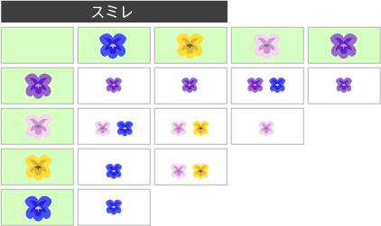 花の交配表（スミレ）