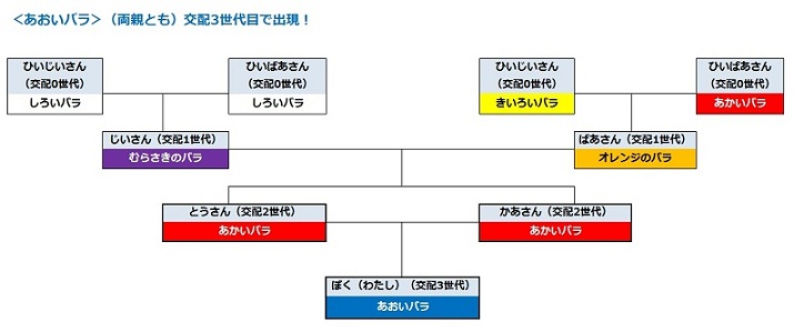 の 森 青い バラ どうぶつ