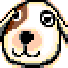 g~