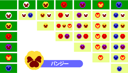 花の交配表（パンジー）