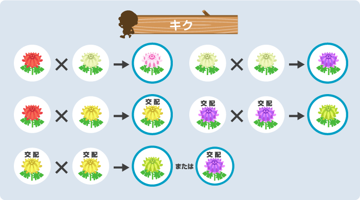 植え方 花の交配 あつ森